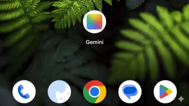 آیکون برنامه جمنای در صفحه اصلی گوشی