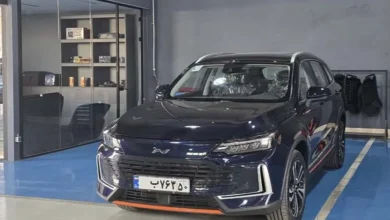 نبکا هیبریدی