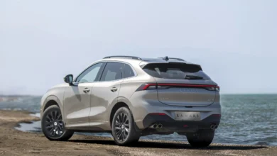 لاماری ایما