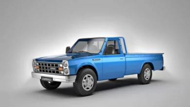 وانت نیسان زامیاد