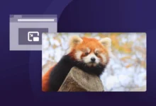 پخش ویدئو در زمان جابجایی تبها در مرورگر موزیلا